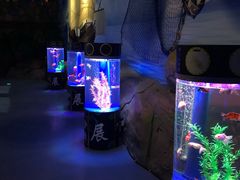 -梦幻海洋王国(吾悦广场张家港店)