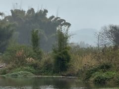 -荔江湾景区
