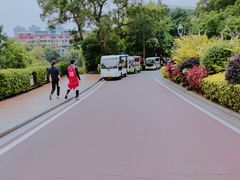 -金鸡山公园