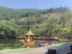 -西双版纳原始森林公园