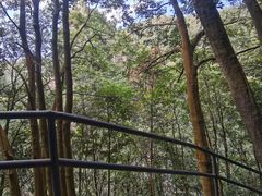 -天台山琼台仙谷景区