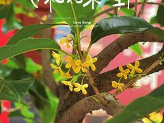 -颐和园