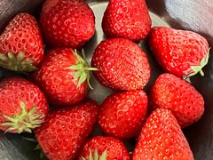 -小鱼草莓采摘园农家乐·小鱼餐厅