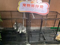 -东北亚滑雪场