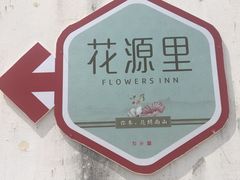 -桑洲油菜花景区