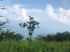 -牛背梁国家森林公园