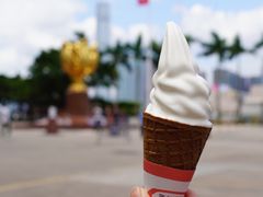 -富豪雪糕车流动点(尖沙咀店)