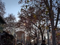 -三百碗宝应长鱼面(板仓街店)