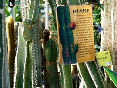 -国家植物园南园