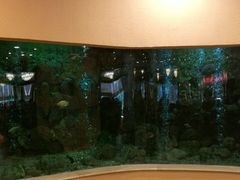 -麒麟中餐厅·经典粤菜·地道菜式老字号(广州长隆酒店)