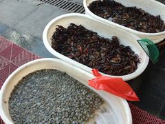 -芦潮港集贸市场