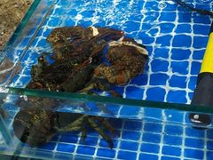 -呼和浩特市融桥商贸有限公司-停车场