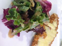 -百好乐宠物友好餐厅(朝外大街店)