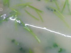 -八仔大富楼·河鲜(西江店)