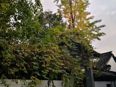 -运河游船(武林门码头)