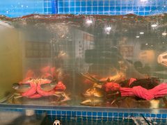 -辣螃铠盆盆蟹大排档(总店)