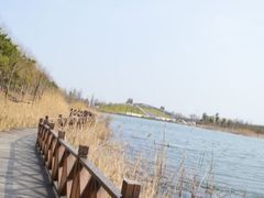 -合肥滨湖国家森林公园