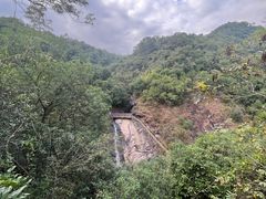 -广州白江湖森林公园