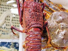 -锦绣大地生鲜食品厅