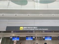 -广州白云国际机场-T2航站楼