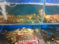 -福建美食城(老君堂店)