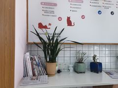 -可蒙动物医院·猫科·骨科中心(首义路店)