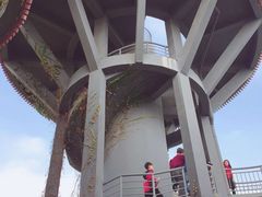 -芒洲湿地公园