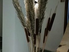 -朴境采耳·足道按摩(科学大道旗舰店)