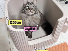 -成都世纪城新国际会展中心