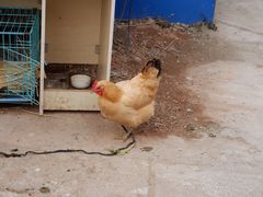 -安庆柴火馄饨(马道街店)