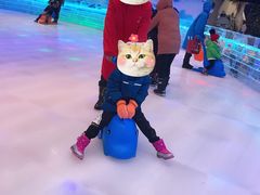 -宁波冰雪大世界(北仑区)