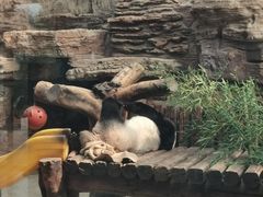 -石家庄市动物园