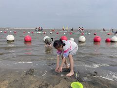 -碧海金沙