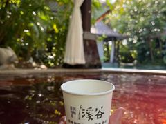 -碧桂园润杨溪谷温泉酒店