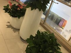 -苏州现代传媒广场商业