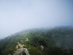-阳台山自然风景区