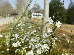 -北京西山国家森林公园