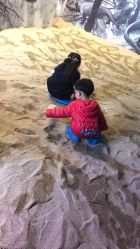 -恐龙探索乐园(磁器口店)