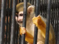 -广东茂名森林公园