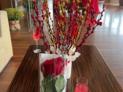-芽庄喜来登水疗酒店