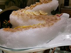 象拔蚌-宝燕壹号(徐汇店)