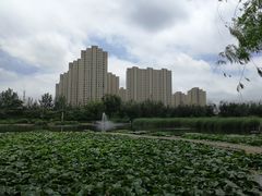 -前关湿地公园