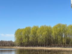 -东郊湿地公园