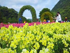 -广州市石门国家森林公园