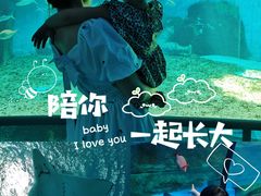 -泉城欧乐堡海洋极地世界