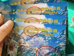 -王顺山国家森林公园