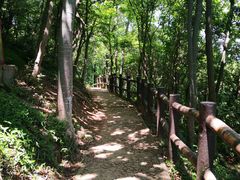 -上海佘山国家森林公园天马山园