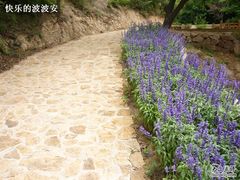 -云峰山自然风景区