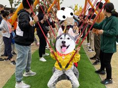 -季高兔窝窝亲子园(上海薰衣草公园店)