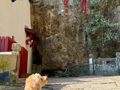 -大慈岩风景区